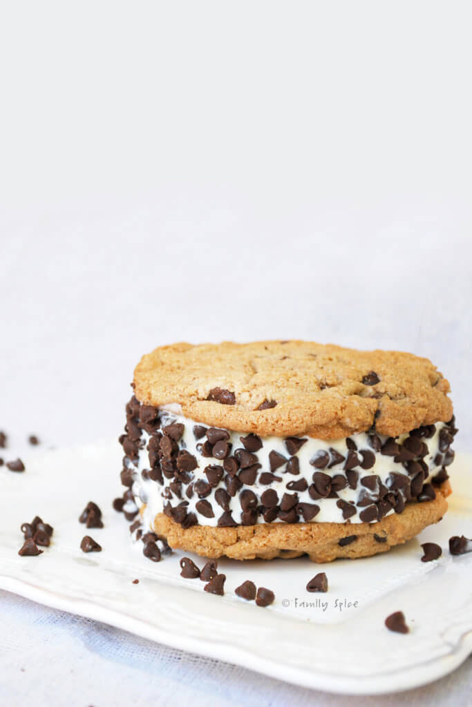 A chocolate chip cookie ice cream sandwich studded with mini chocolate chips on a white plate