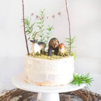 Woodland Cake with Cream Cheese Frosting by FamilySpice.com