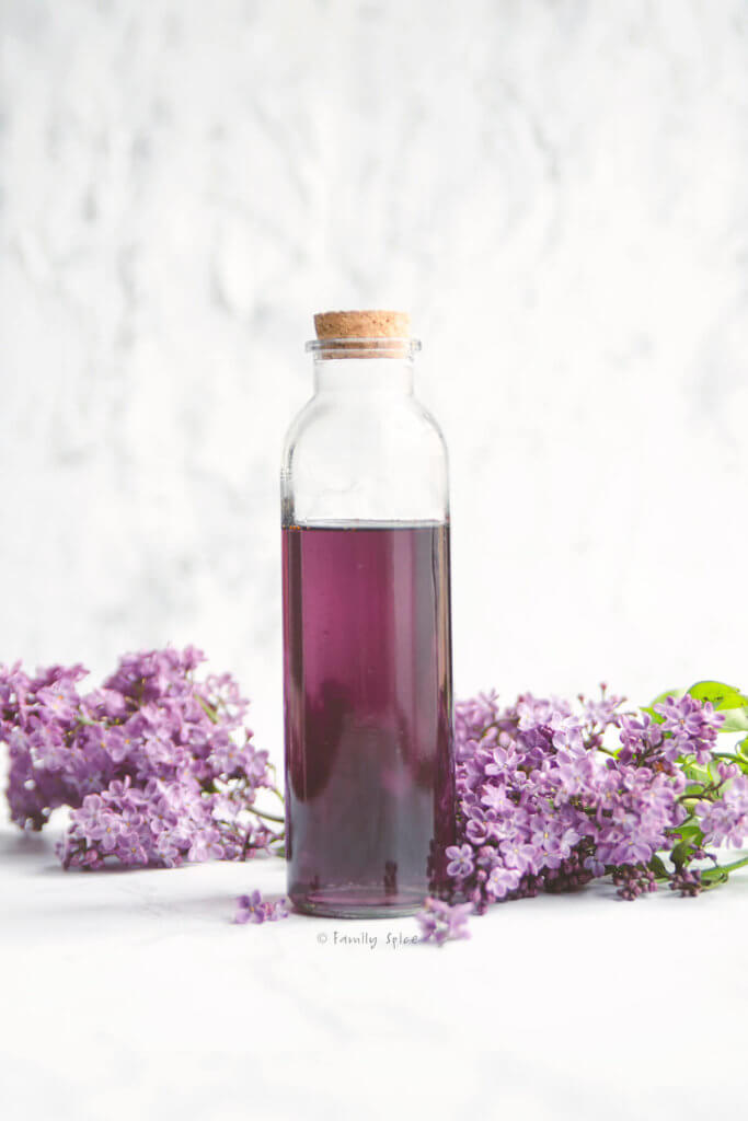 Closeup of a bottle of homemade lilac syrup surrounded by lilacs