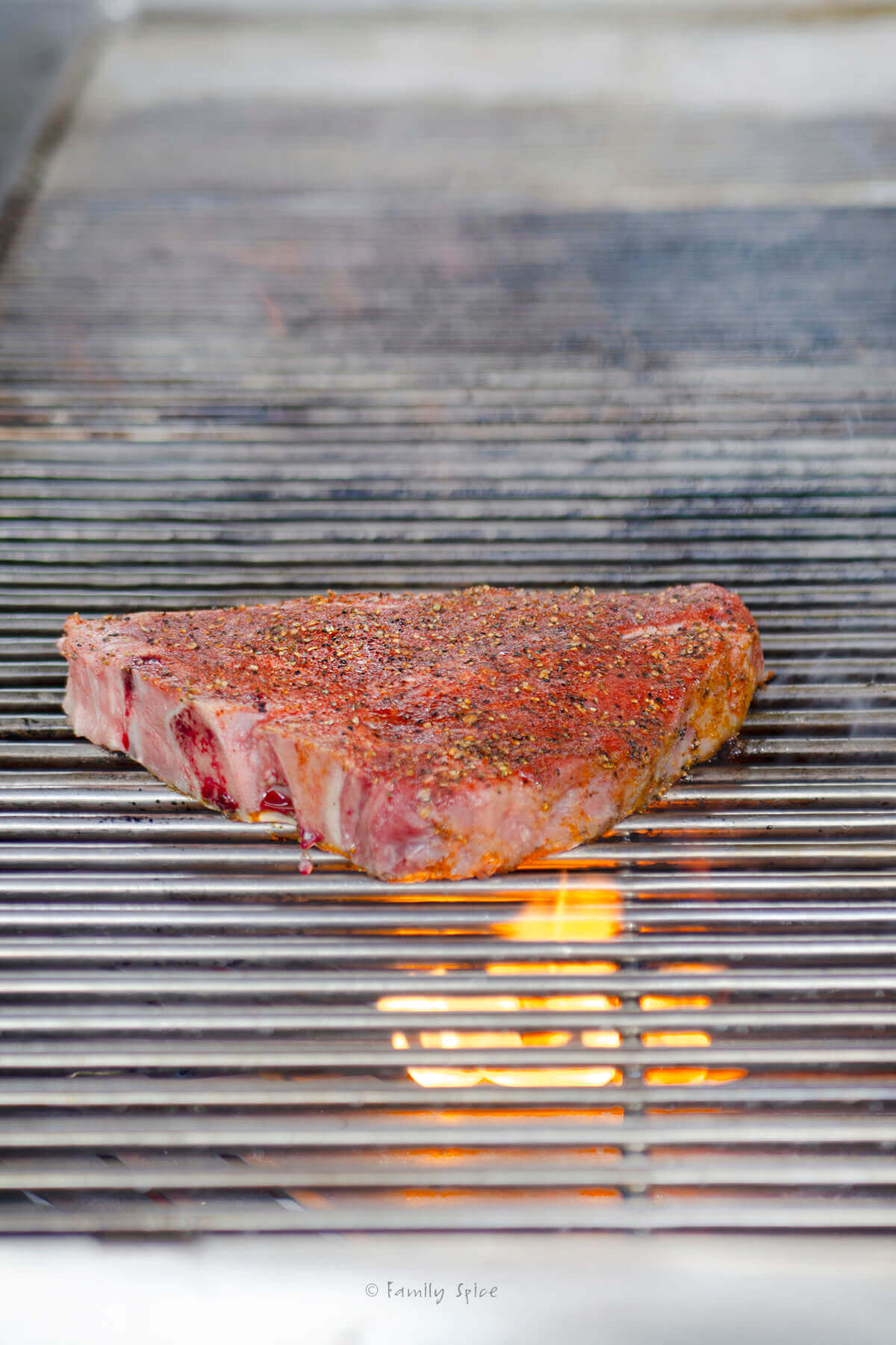 Side view of a seasoned porterhouse steak grilling over fire