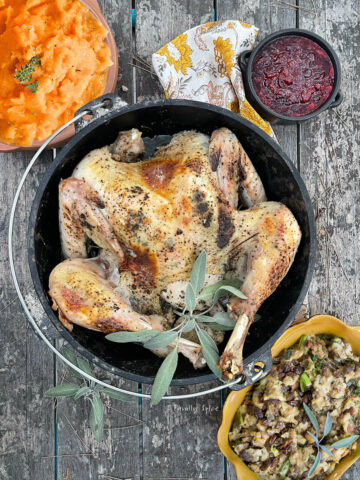 A roast turkey in a cast iron dutch oven garnished with fresh sage with mashed squash, cranberry sauce and stuffing next to it