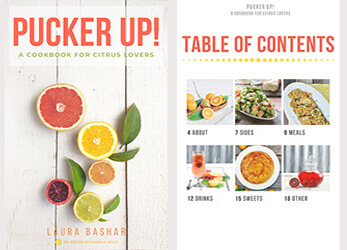 Citrus ecookbook cover and table of contents