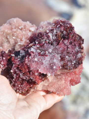 Closeup of a large pink halite salt crystal with purple tones from Genorama