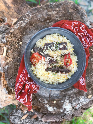 A metal bowl with saffron studded basmati rice with koobideh kebab jerky and rehydrated tomatoes sitting on a tree stump