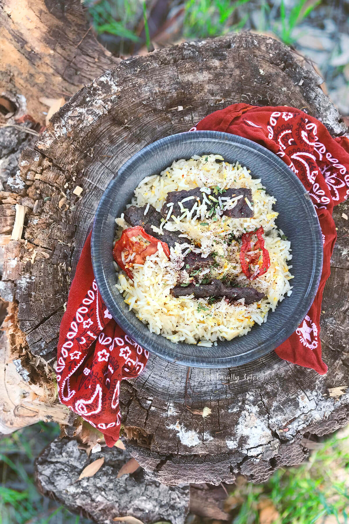 How to Dehydrate Food for Camping & Backpacking