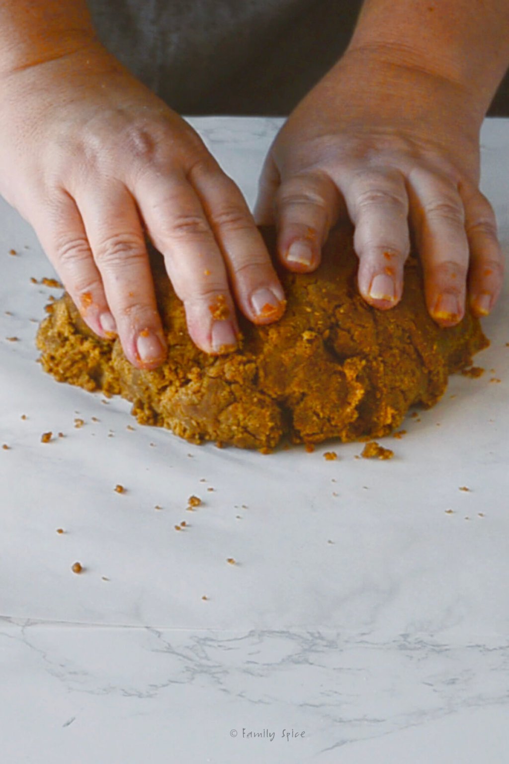 Gingerbread Olive Oil Cookies Family Spice