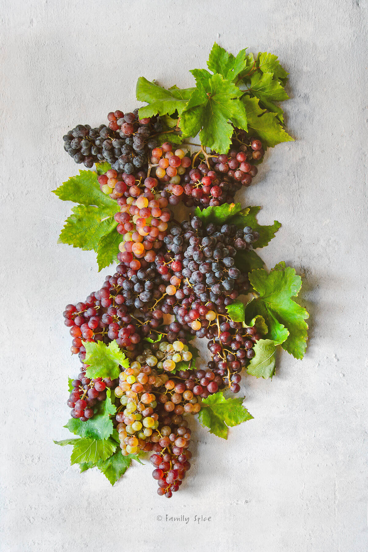 Assorted red, green and black grapes with grape leaves on concrete