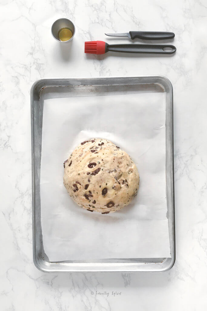 Olive bread dough in a ball that has rested and risen, brushed with olive oil
