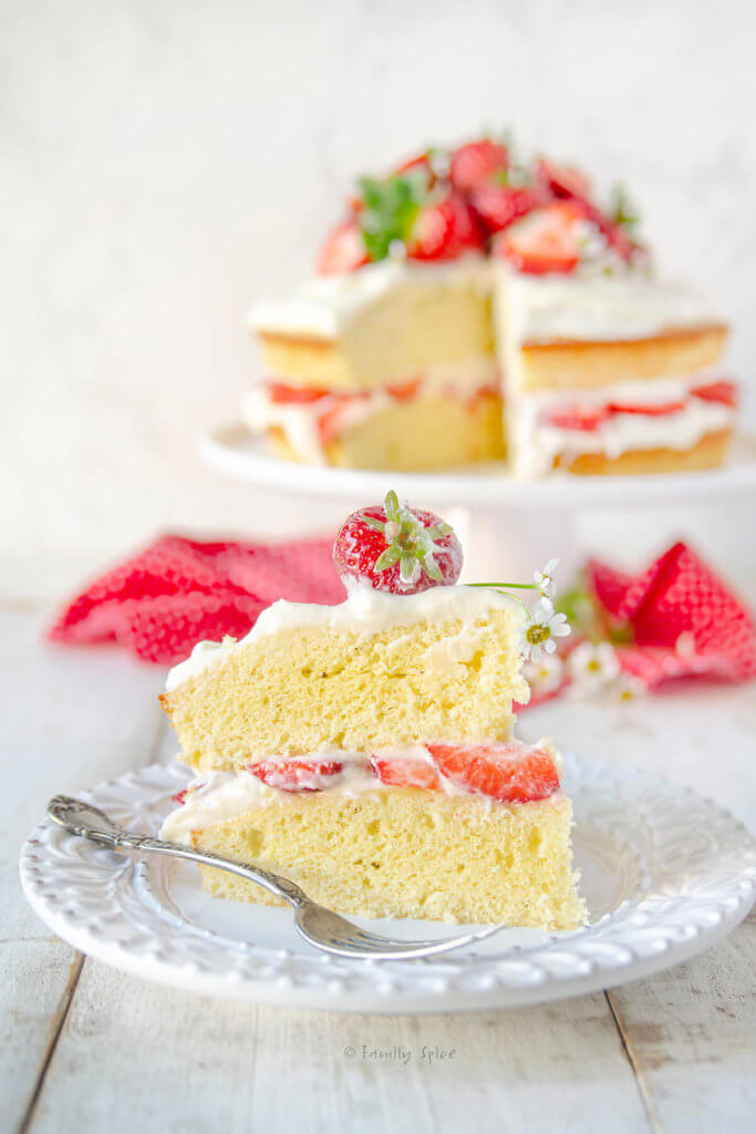 Closeup of a slice of vanilla cake frosted minimally with strawberry slices in between and topped with more fresh strawberries and chamomile flowers