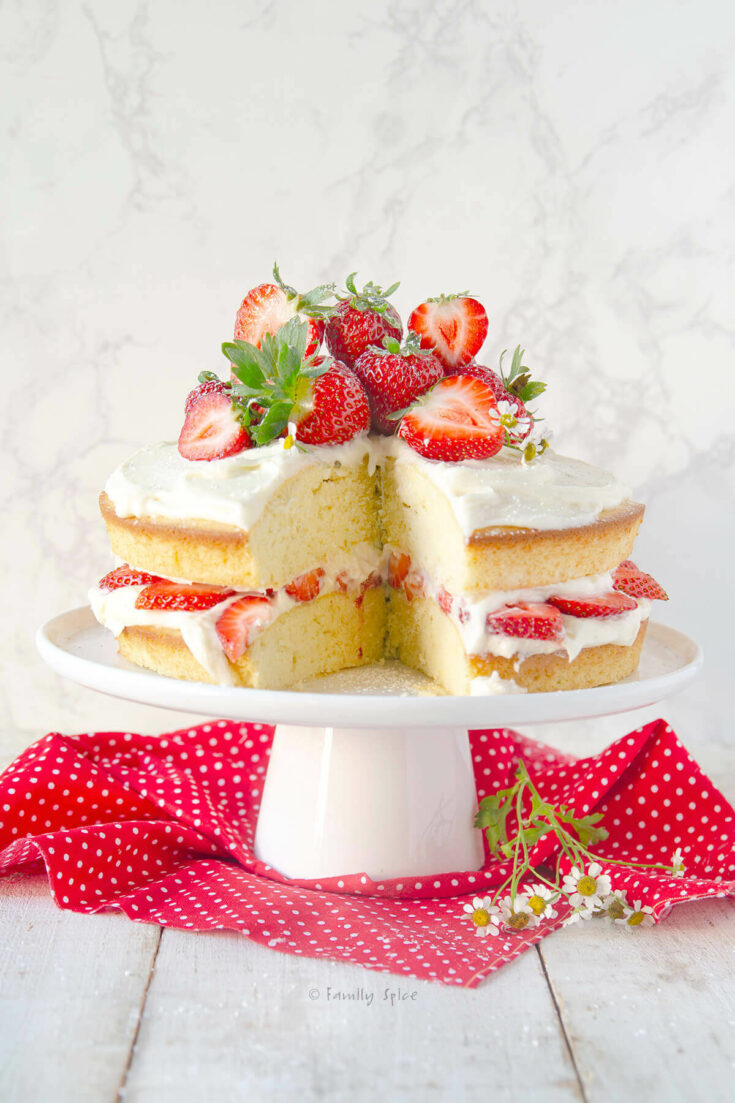 Sprinkle Birthday Cake – Scrumptious Houston-hanic.com.vn
