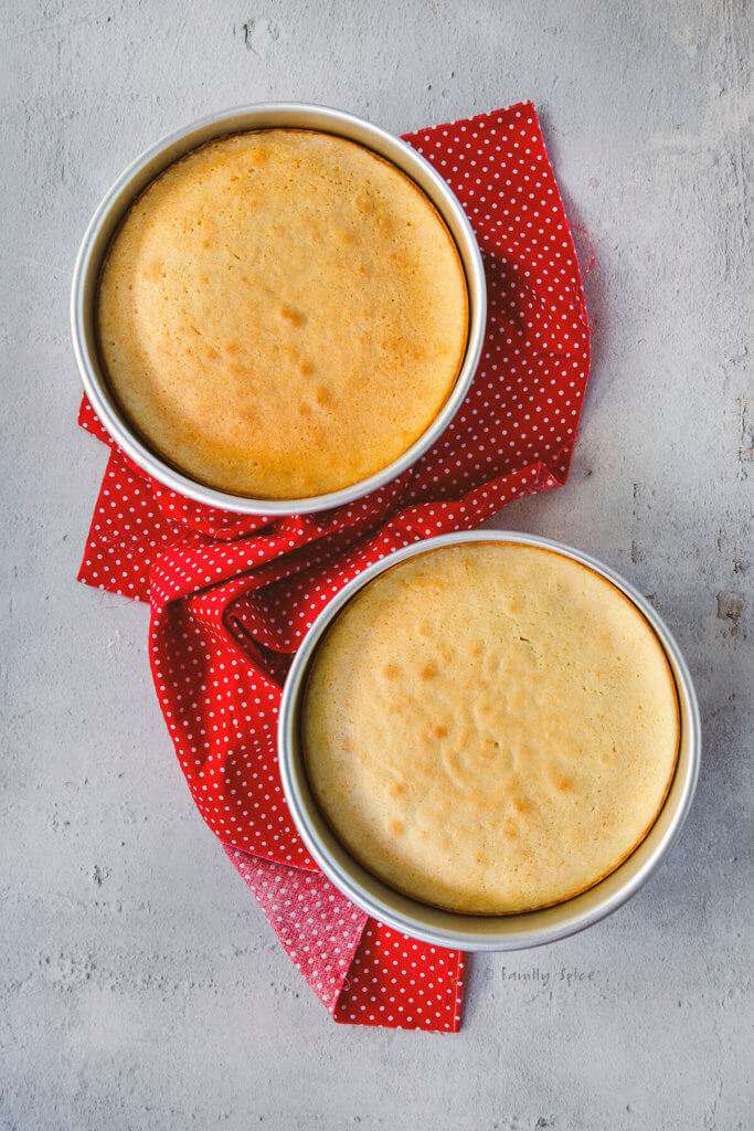 Two 8-inch cake pans with freshly baked vanilla cake in it