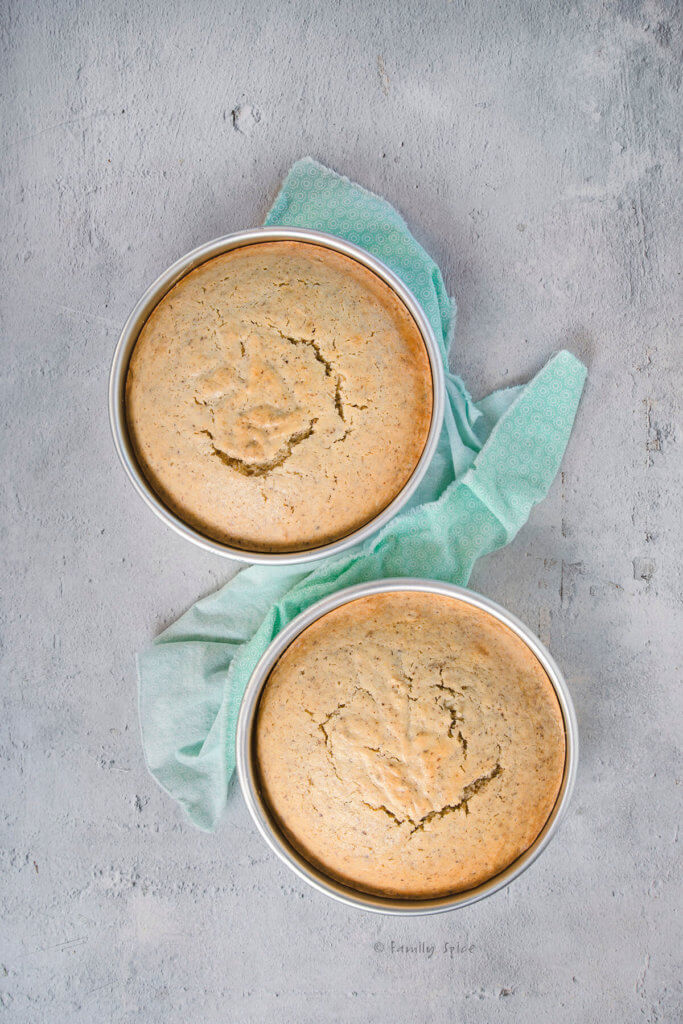 Two freshly baked vegan vanilla cakes cooling in their cake pans