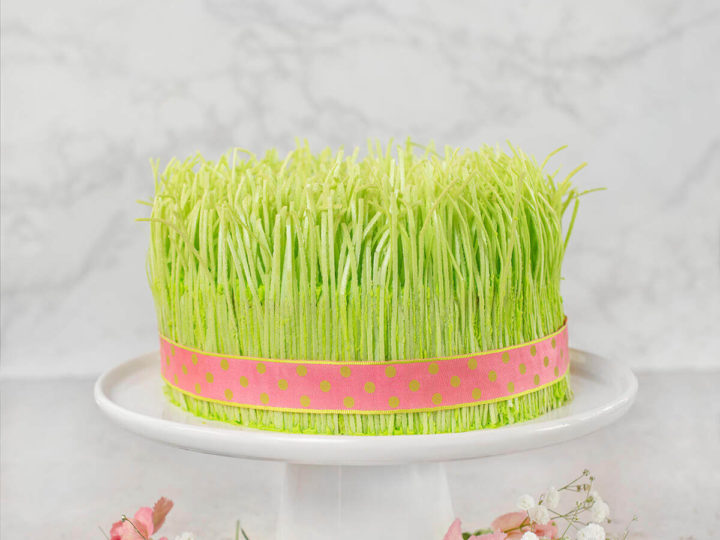 How to Add Grass to a Princess Castle Cake for a Kids' Party - Howcast