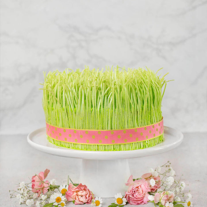 A Spring Cake resembling sprouts with a pink ribbon wrapped around it on a cake stand with pink and white flowers around it