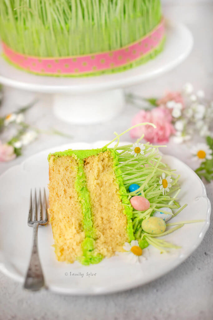 Closeup of a slice of vanilla cake decorated for Spring and Easter with edible grass and candy eggs