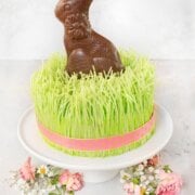 Pinterest image for easter grass cake.