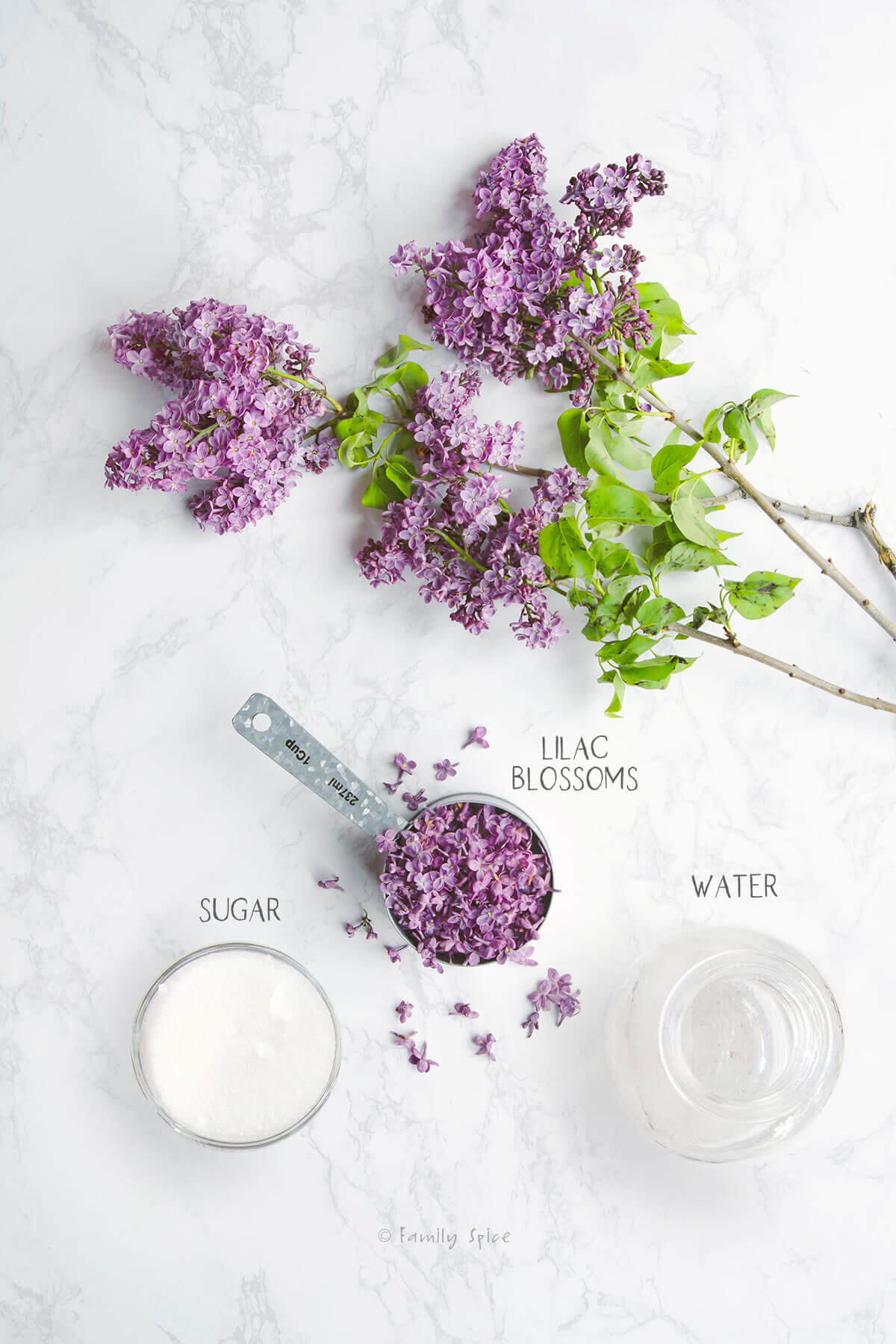 Ingredients labeled and needed to make lilac syrup