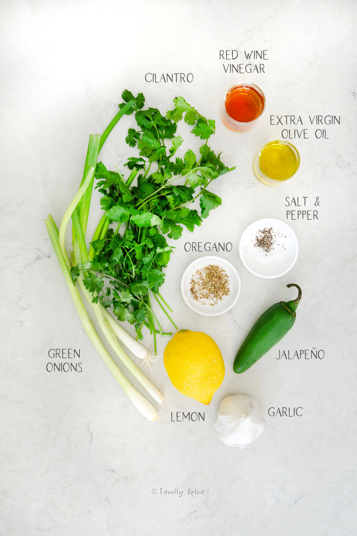 Ingredients labeled and needed to make cilantro chimichurri