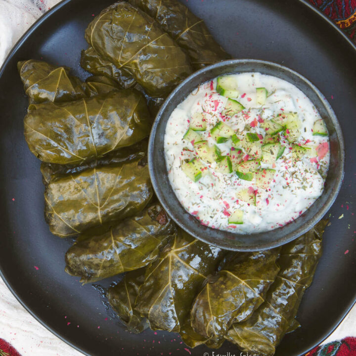 Closeup of a top view of a plate of dolmeh with a bowl of mast o khiar next to it