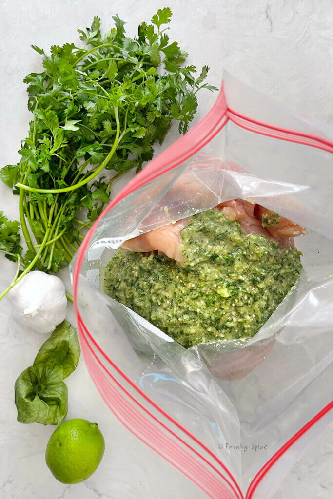A large resealable bag with raw chicken breast and chile verde marinade in it and cilantro, garlic and lime next to it