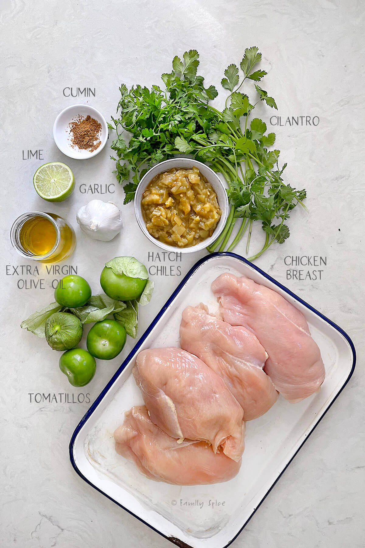 Ingredients labeled and needed to make chicken chile verde